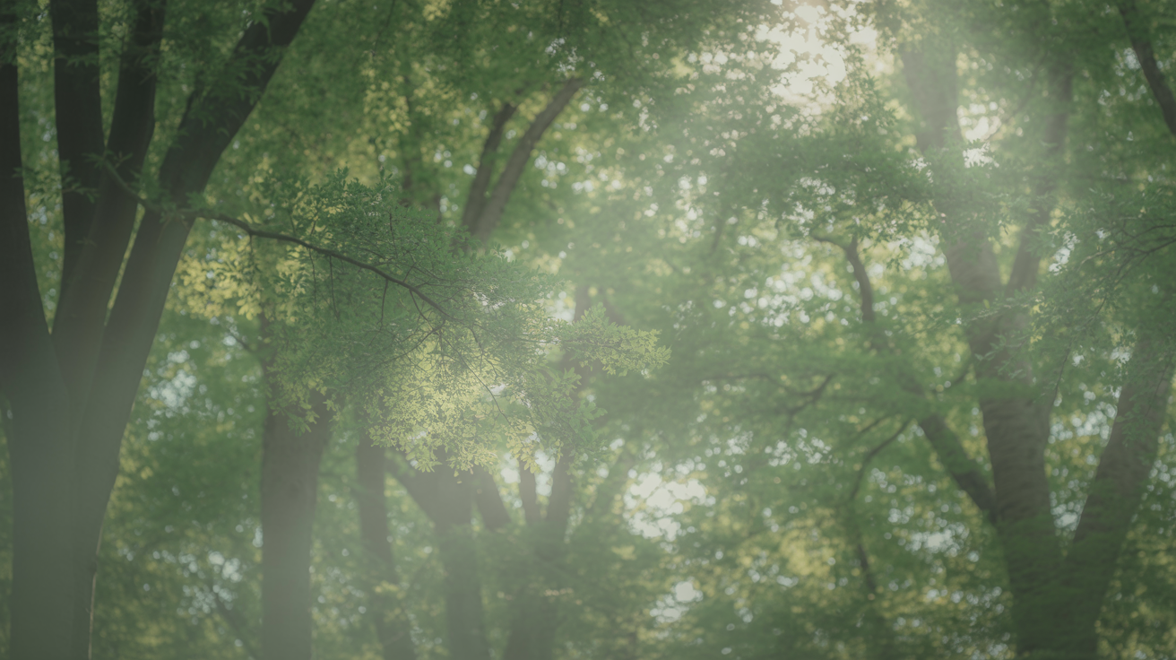 Soft forest canopy with dappled sunlight