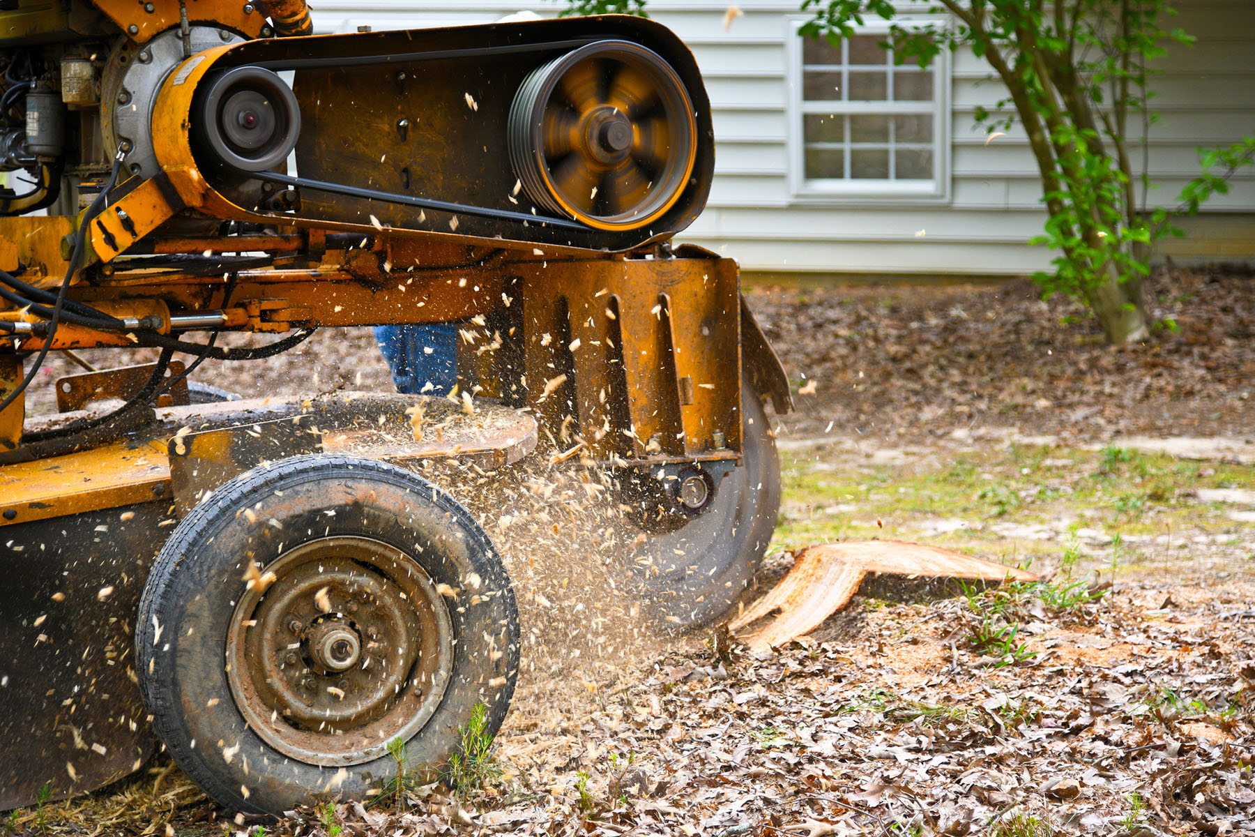 Stump grinding and removal service