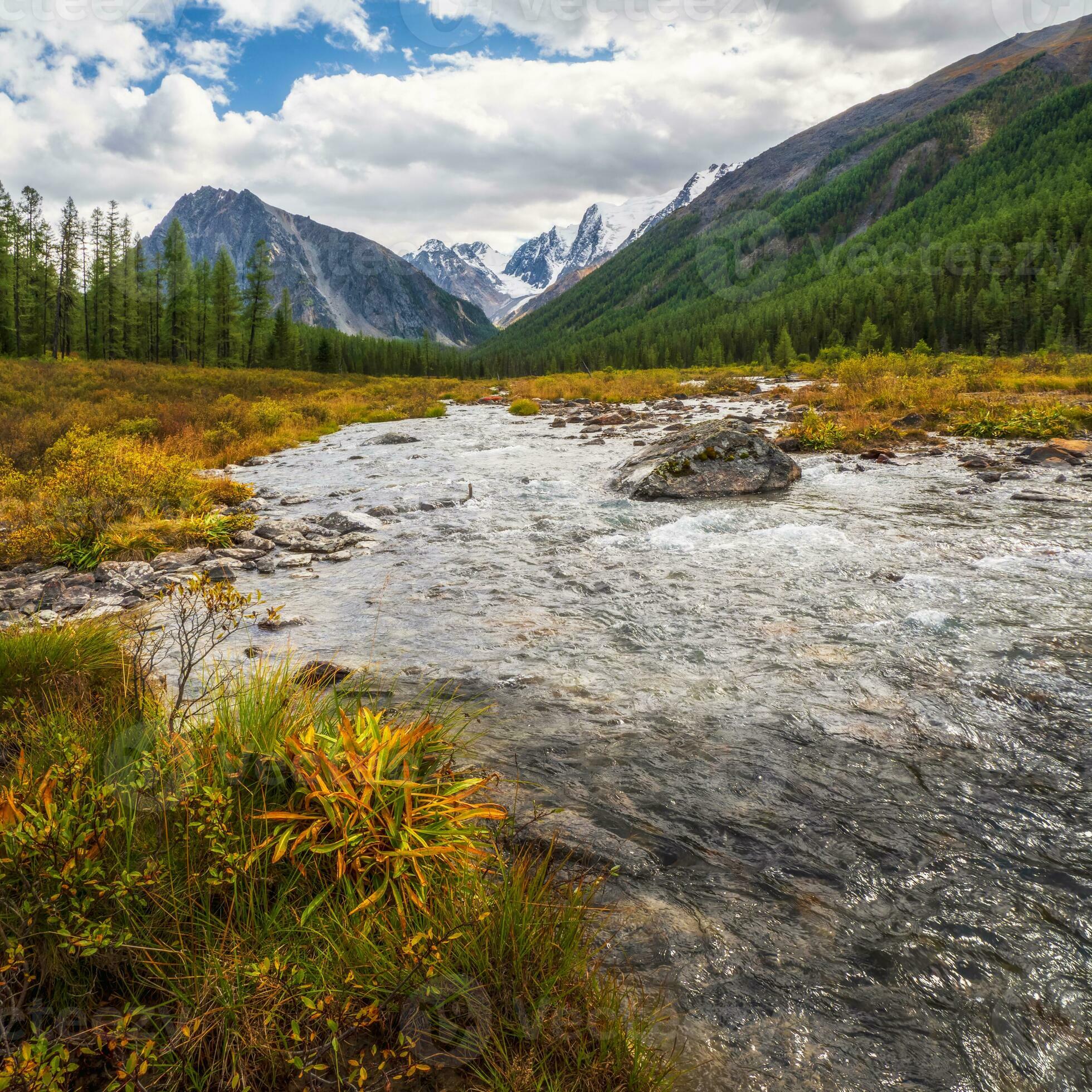 Level 2 - Advanced Practitioner