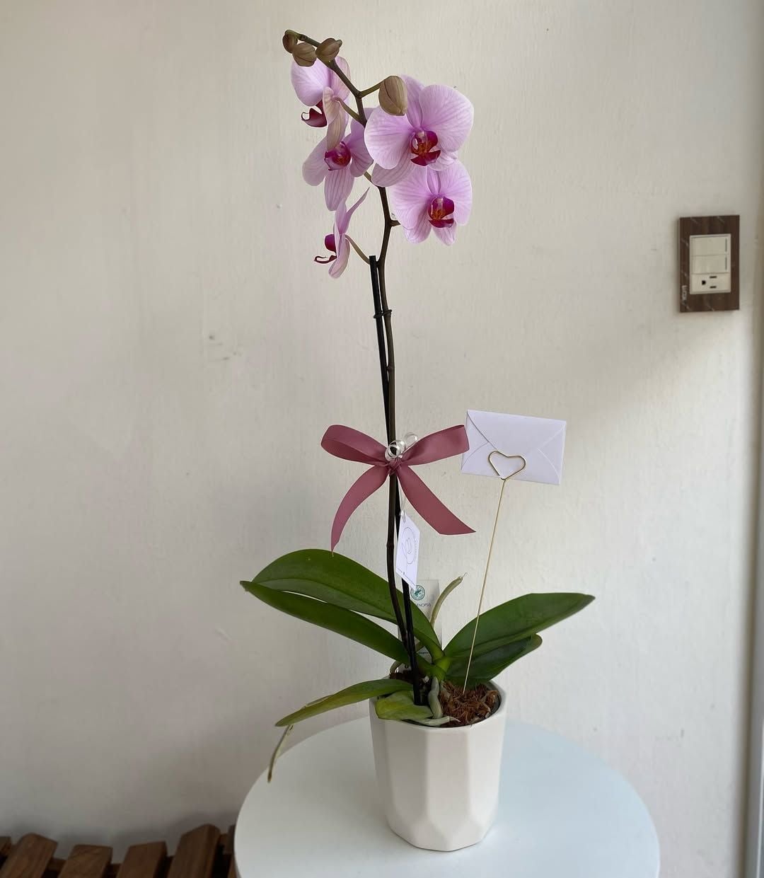 Base Orquídea