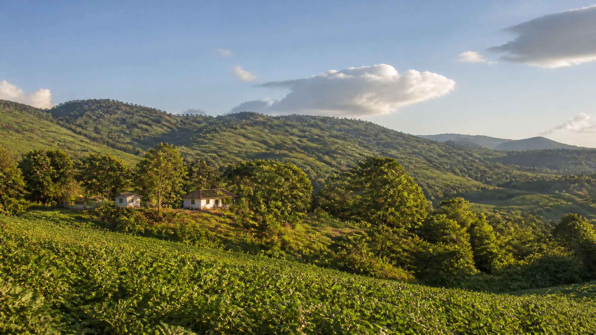 Campo salvadoreño