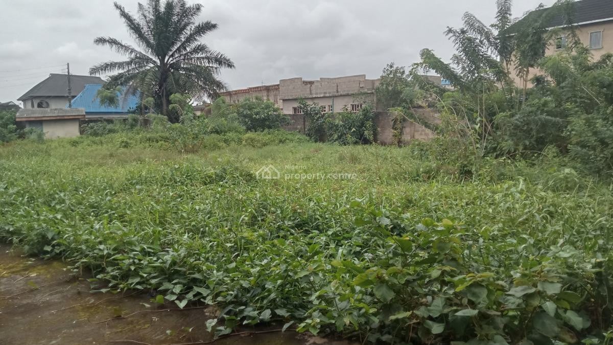 1000sqm Land - Banana Island