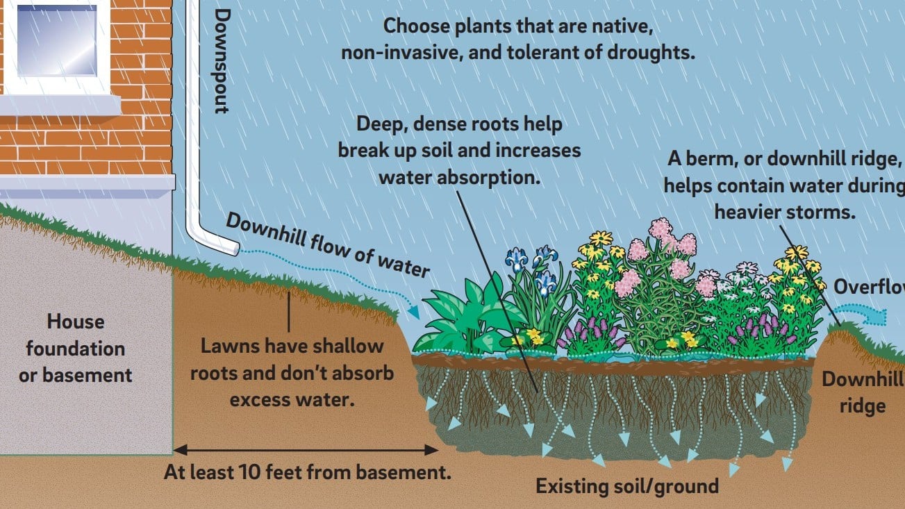 HOA & Property Management
