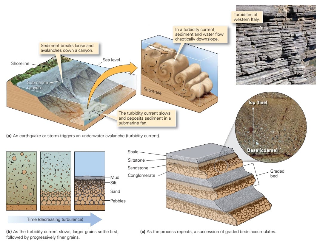 Layered sedimentary rock strata in a canyon wall