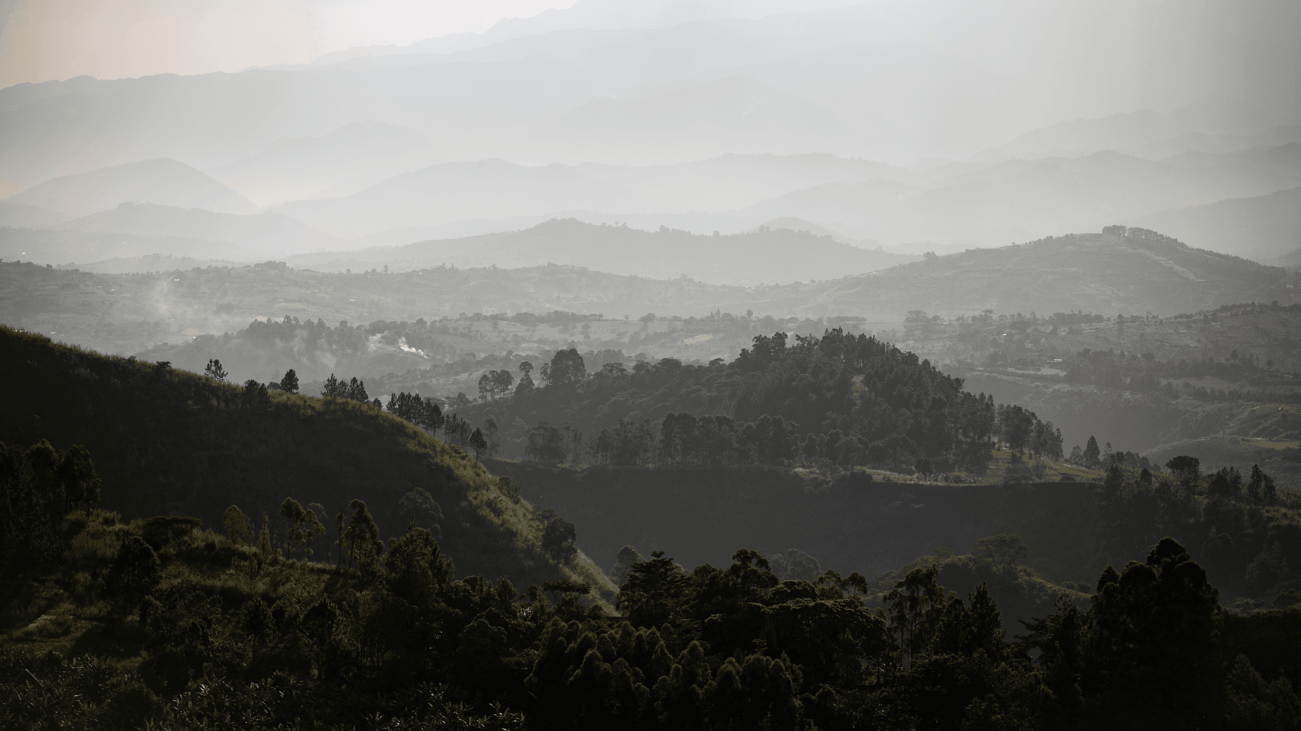 Rwanda Gorilla Trekking 2025–2026: The Complete Planning Guide