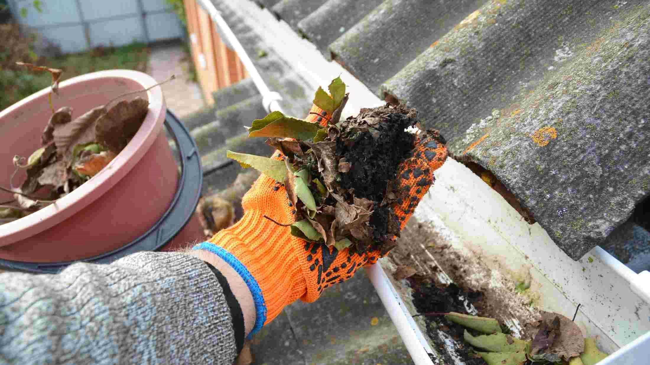 Gutter Cleaning service in Northern Ireland