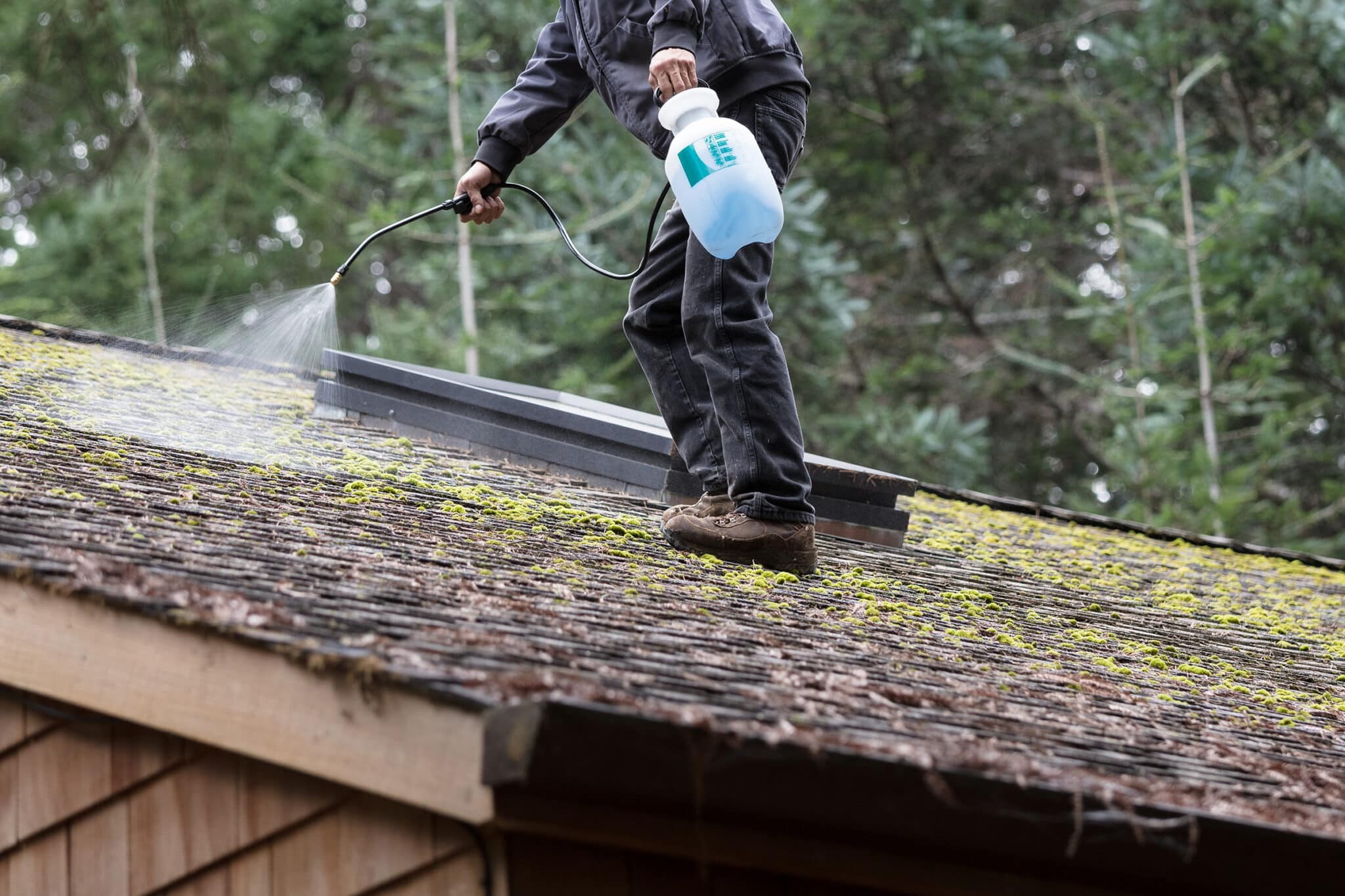 Roof moss removal