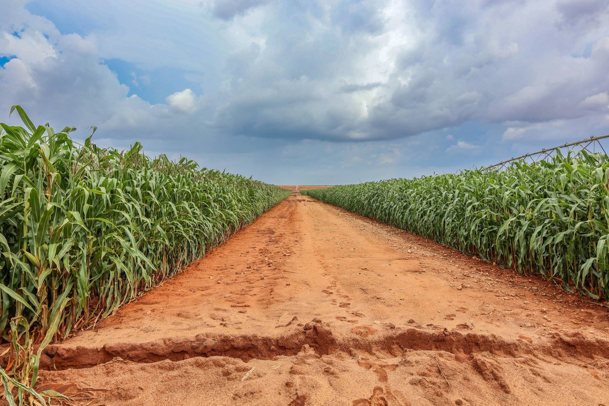 Food Sovereignty