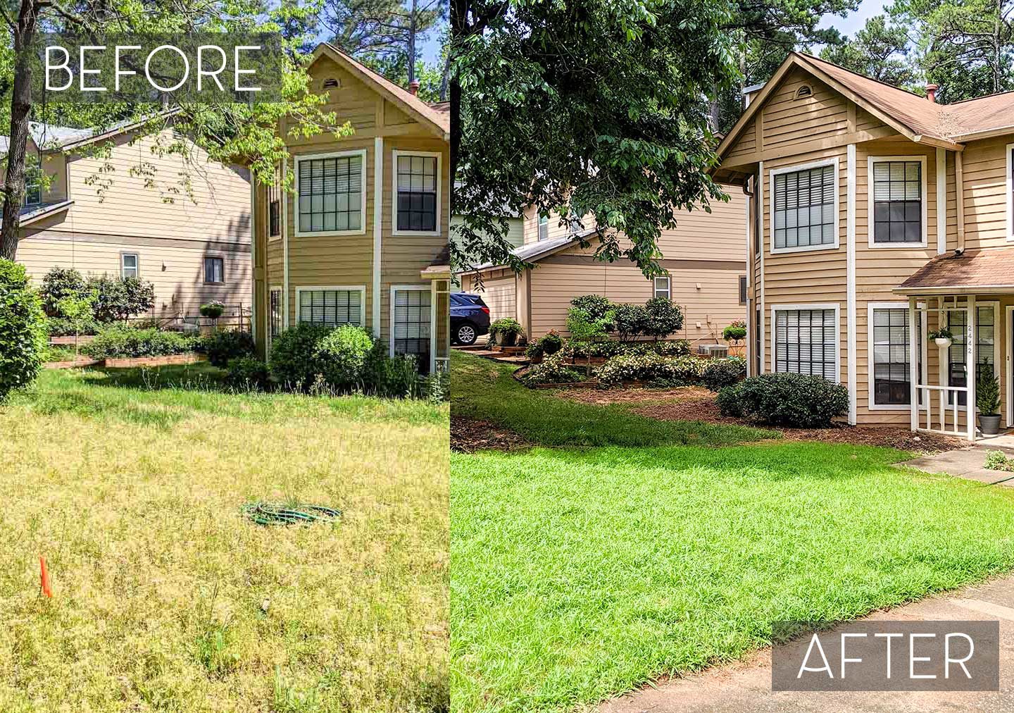 Before and after lawn transformation