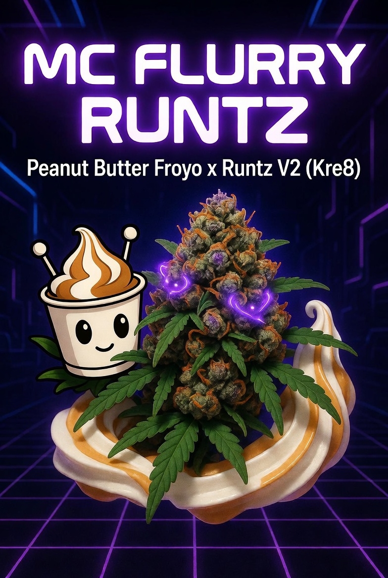 Mc Flurry Runtz