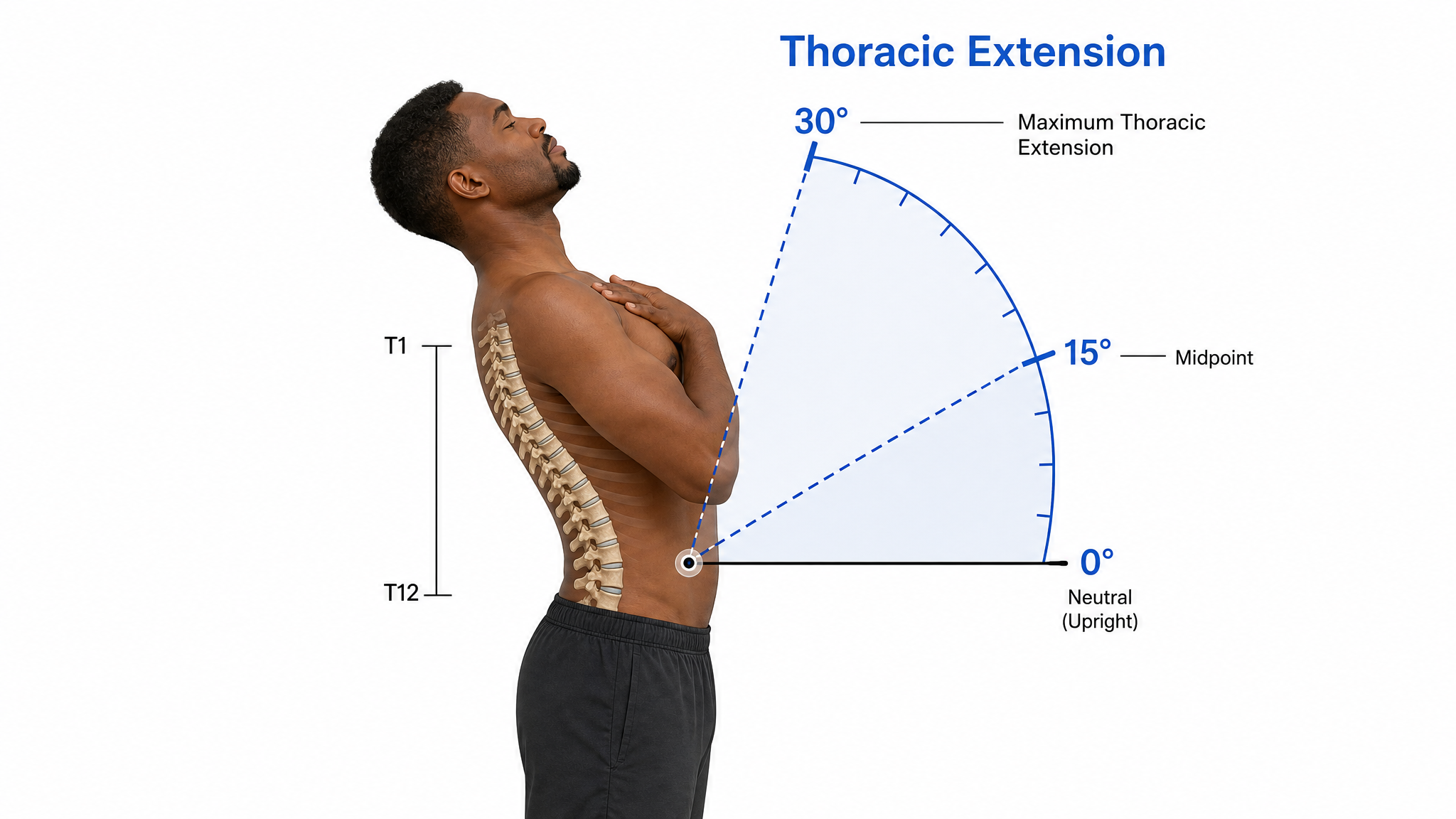 Labeled teaching diagram on a white background showing trunk extension measured with a goniometer, 0 to 30 degrees
