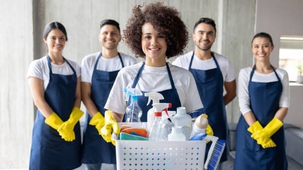 Professional cleaning team
