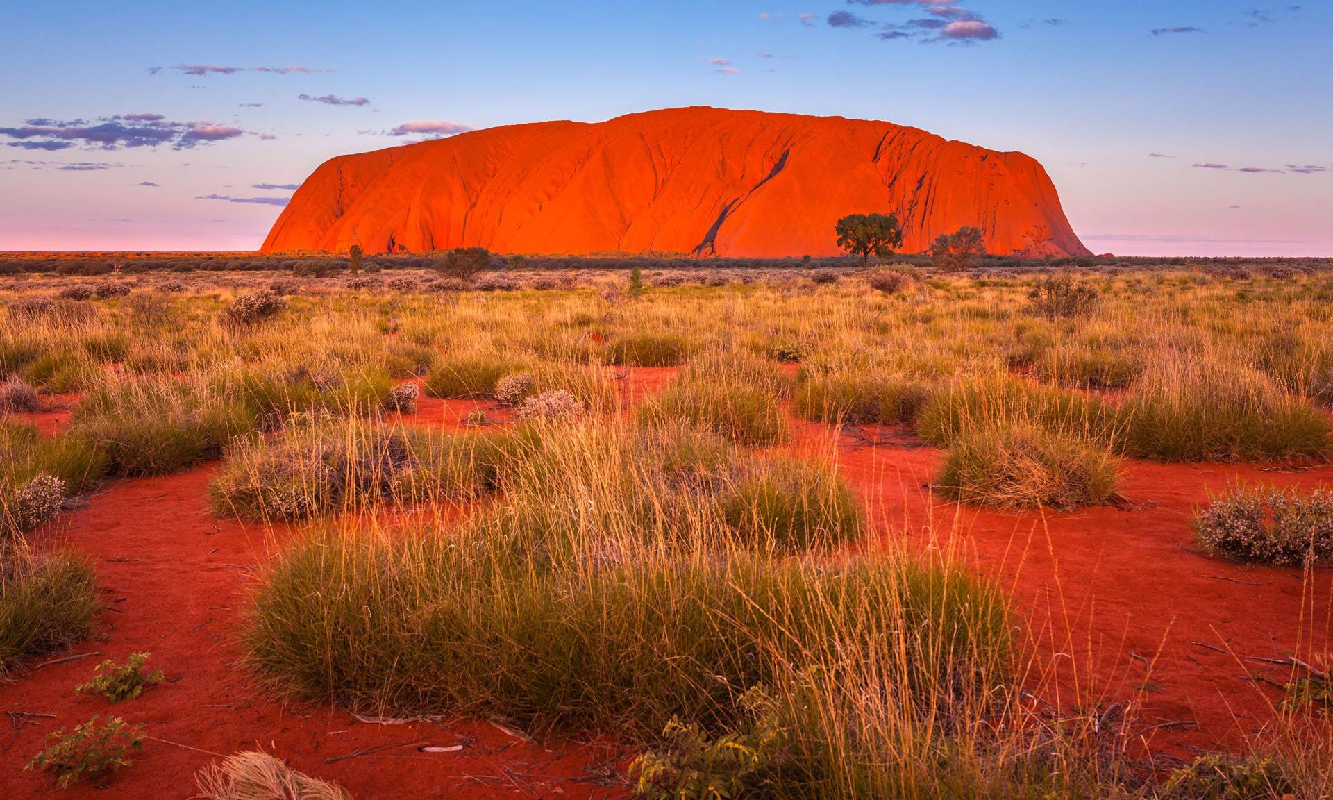 Outback Safaris