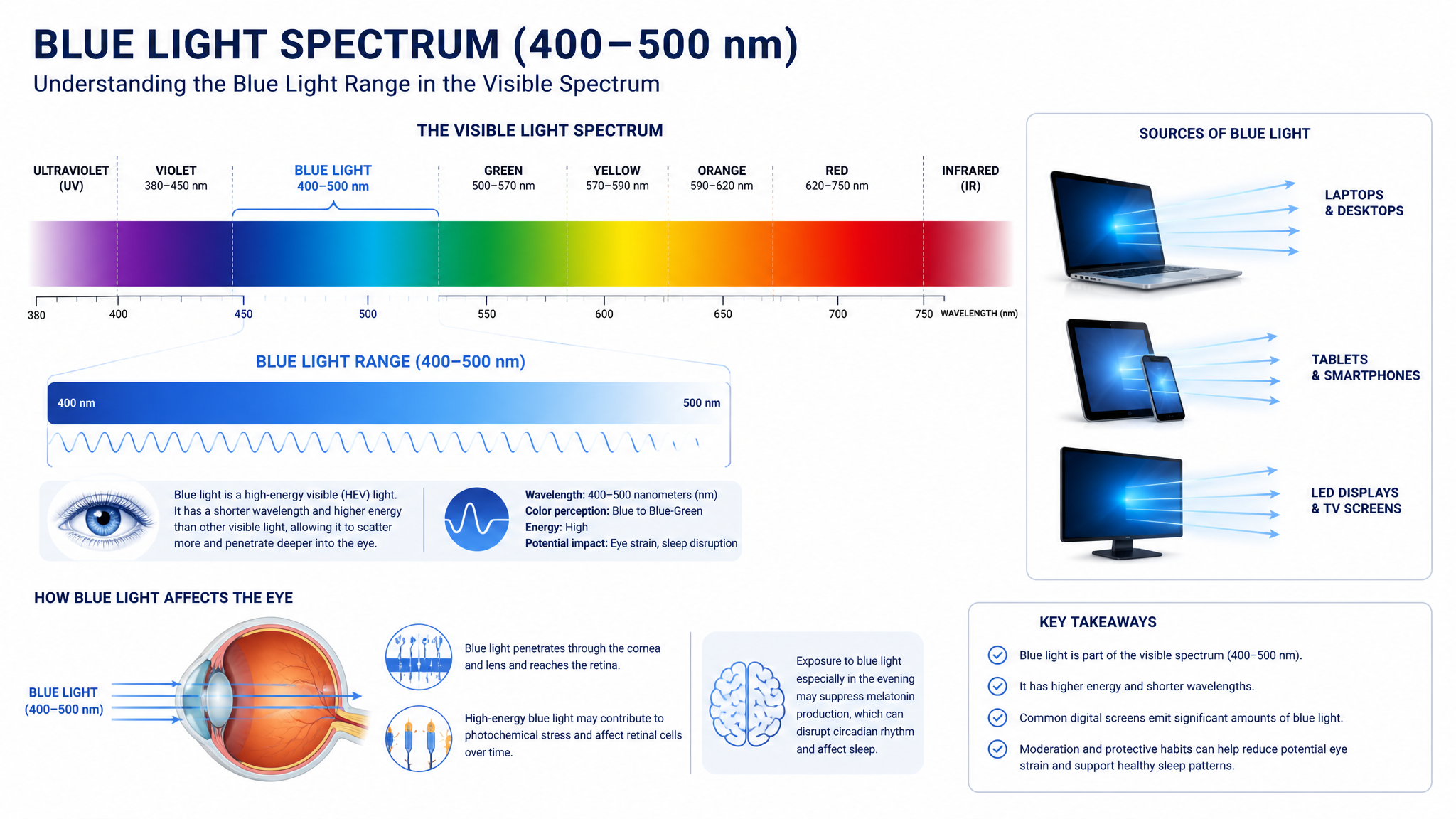 Visible light spectrum showing blue light wavelengths between 400-500nm