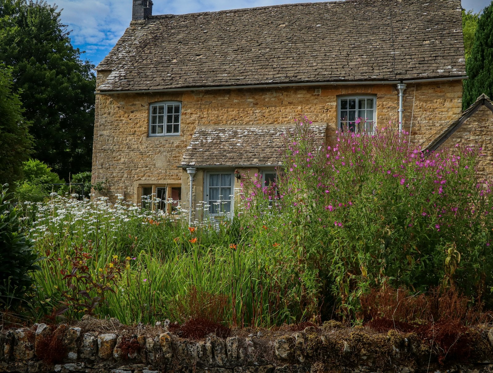 Garden Maintenance work at a Northamptonshire property – photo 5