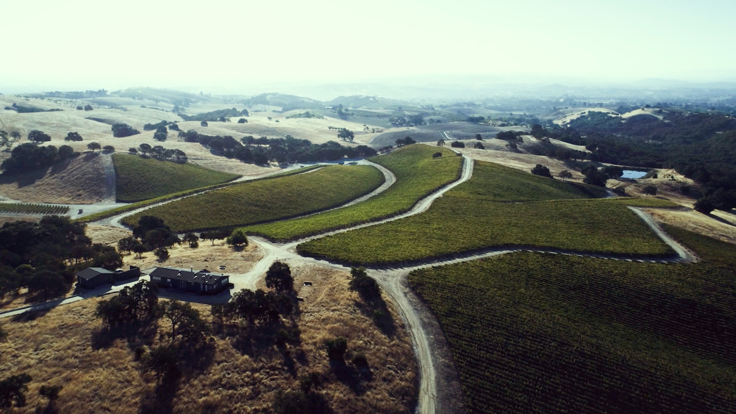 Aerial view of Sonoma wine country vineyards