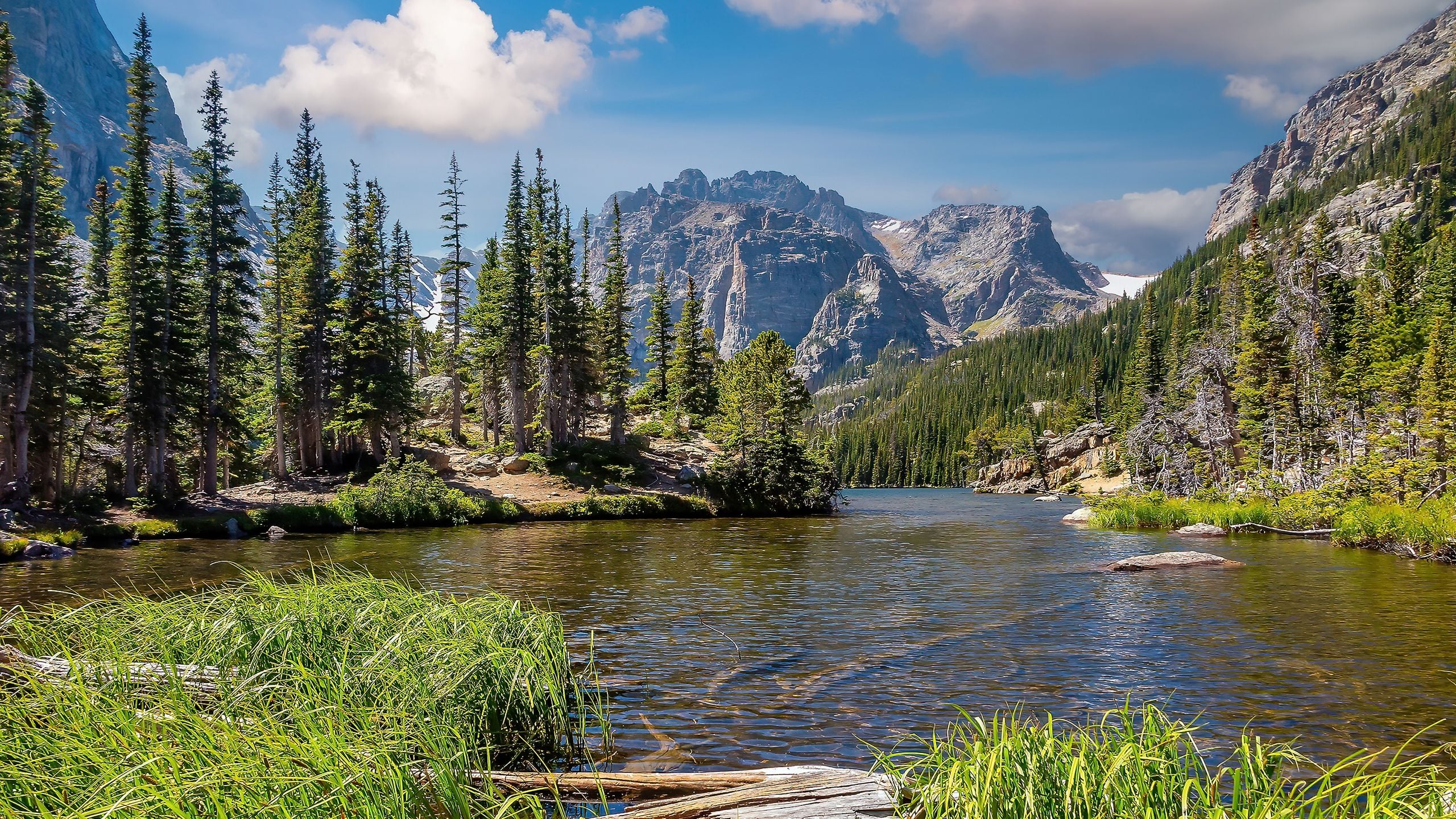 Hidden Gems: Local Parks