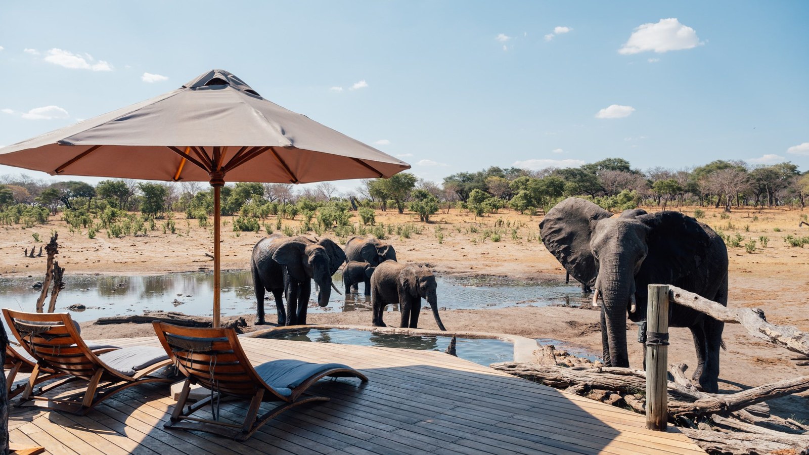 African Bush Camps