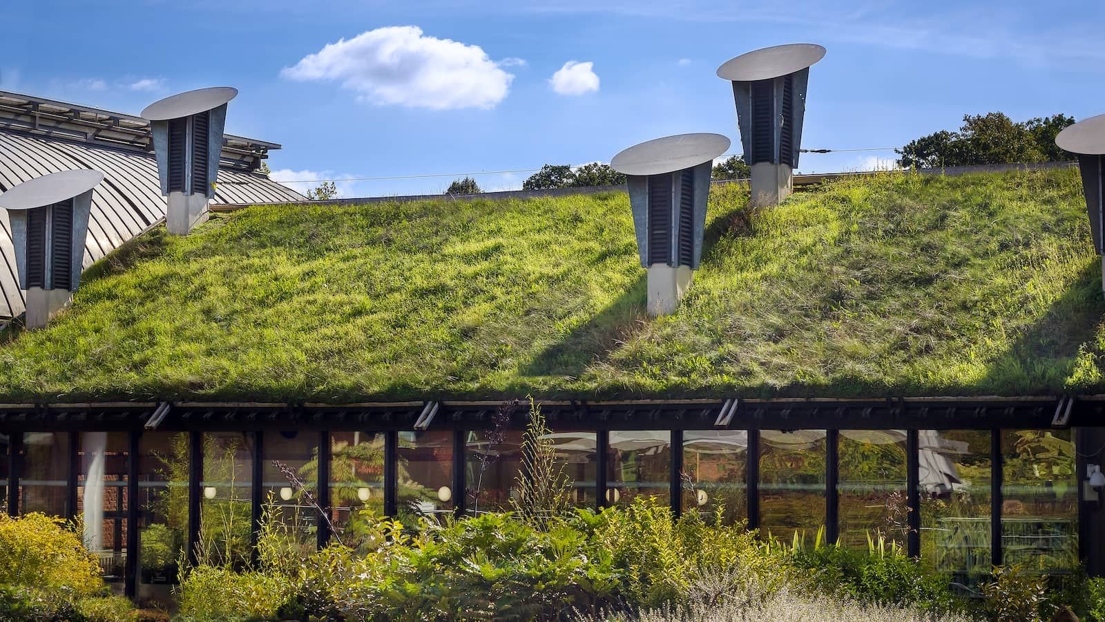 Construção sustentável com vegetação e práticas verdes
