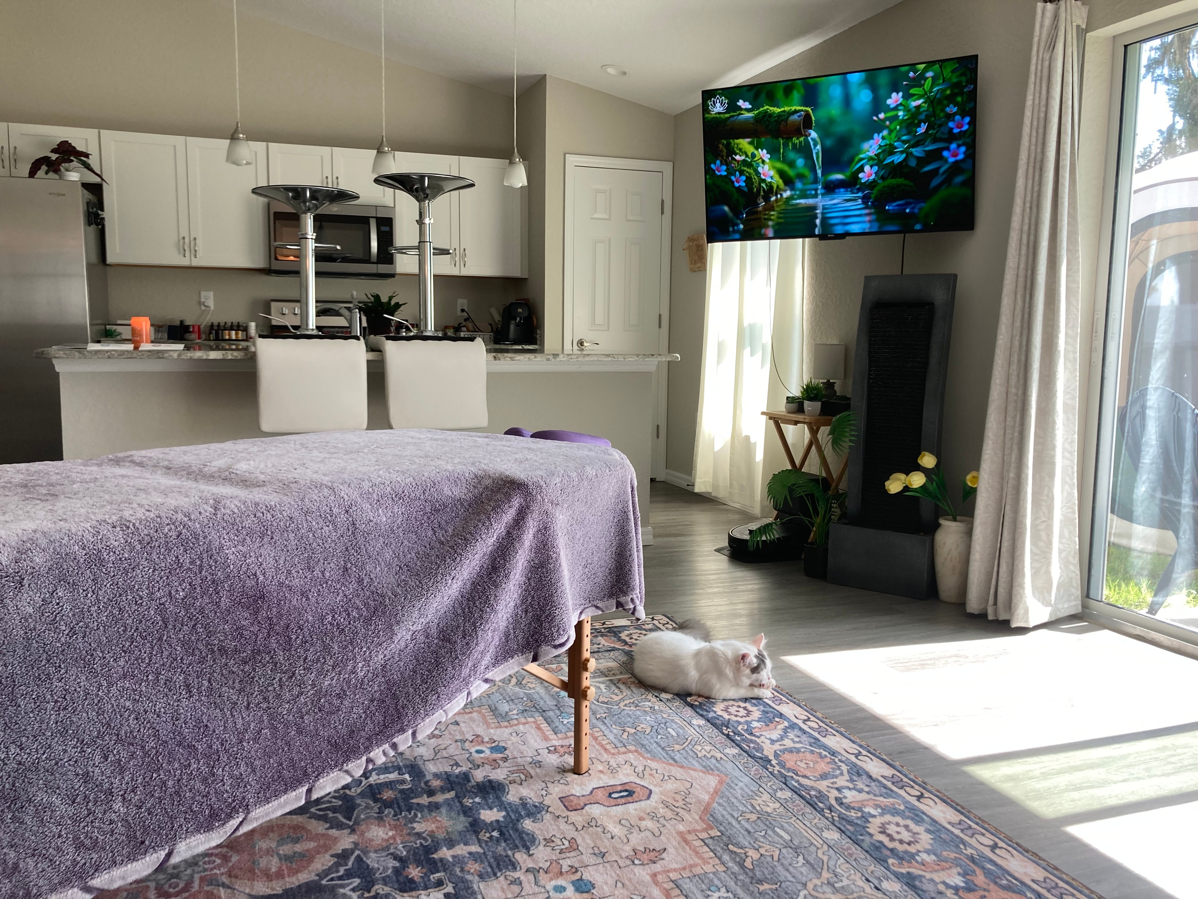 Peaceful studio space with lavender blanket, waterfall feature, and resident cat relaxing during session prep