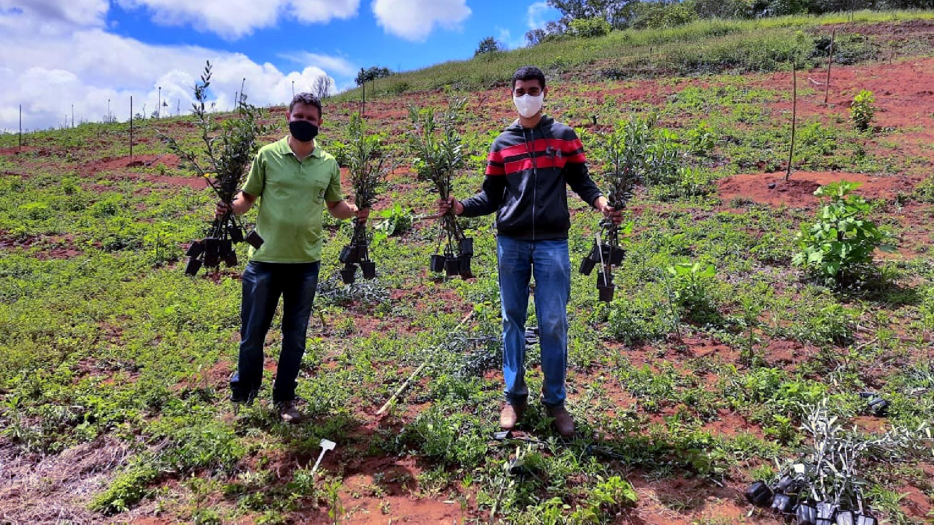 Campo agrícola - cooperativa
