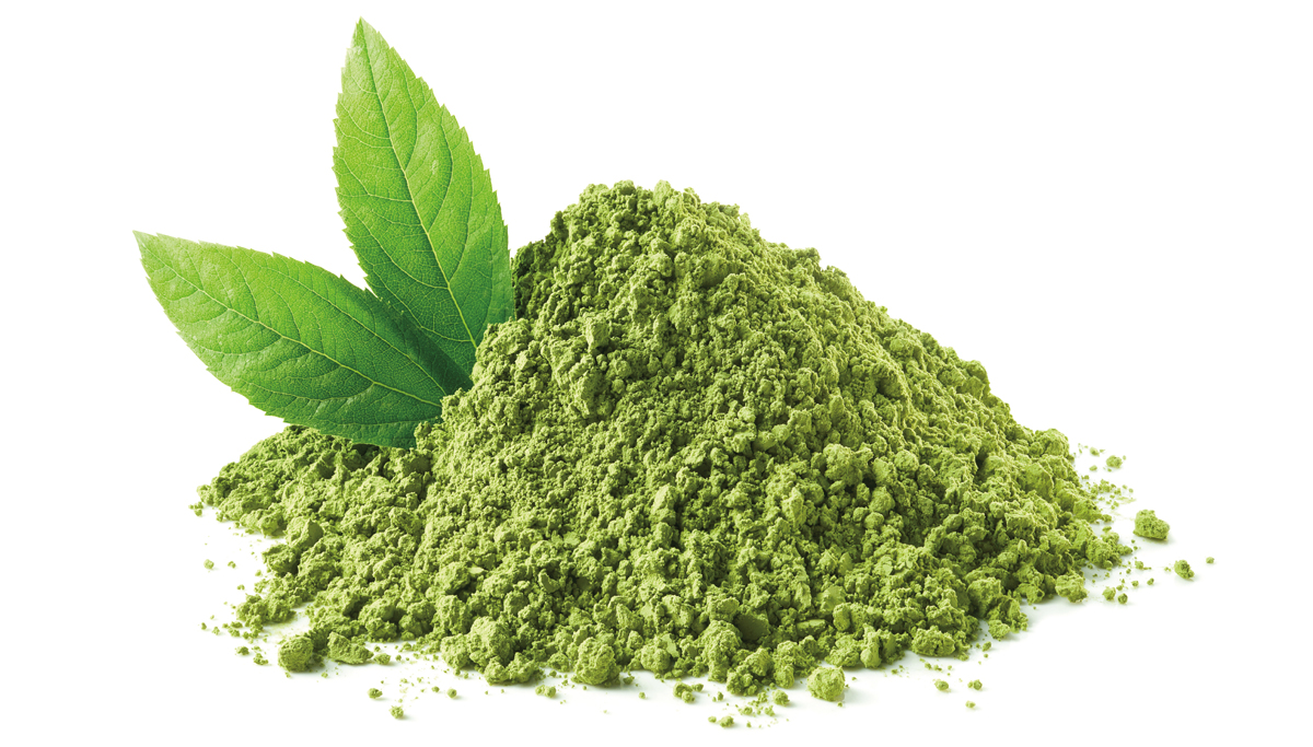 Matcha Premium Orgánico