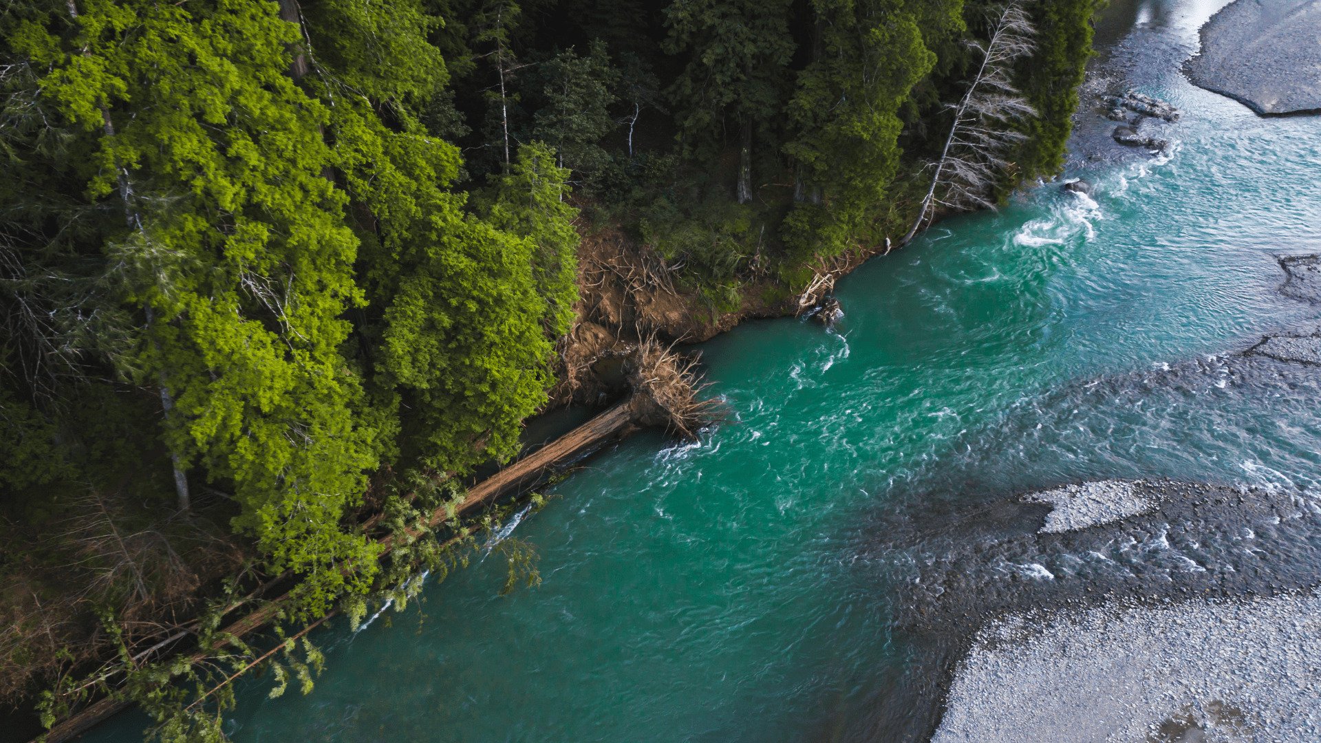 River & Stream Rehabilitation