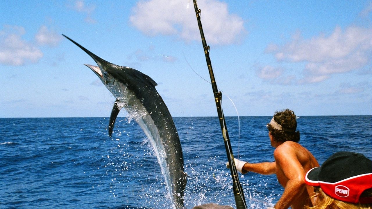 Baja Mexico Marlin Fishing