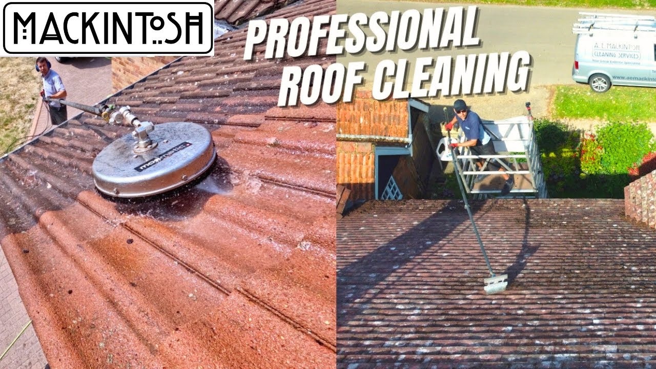 Roof Cleaning