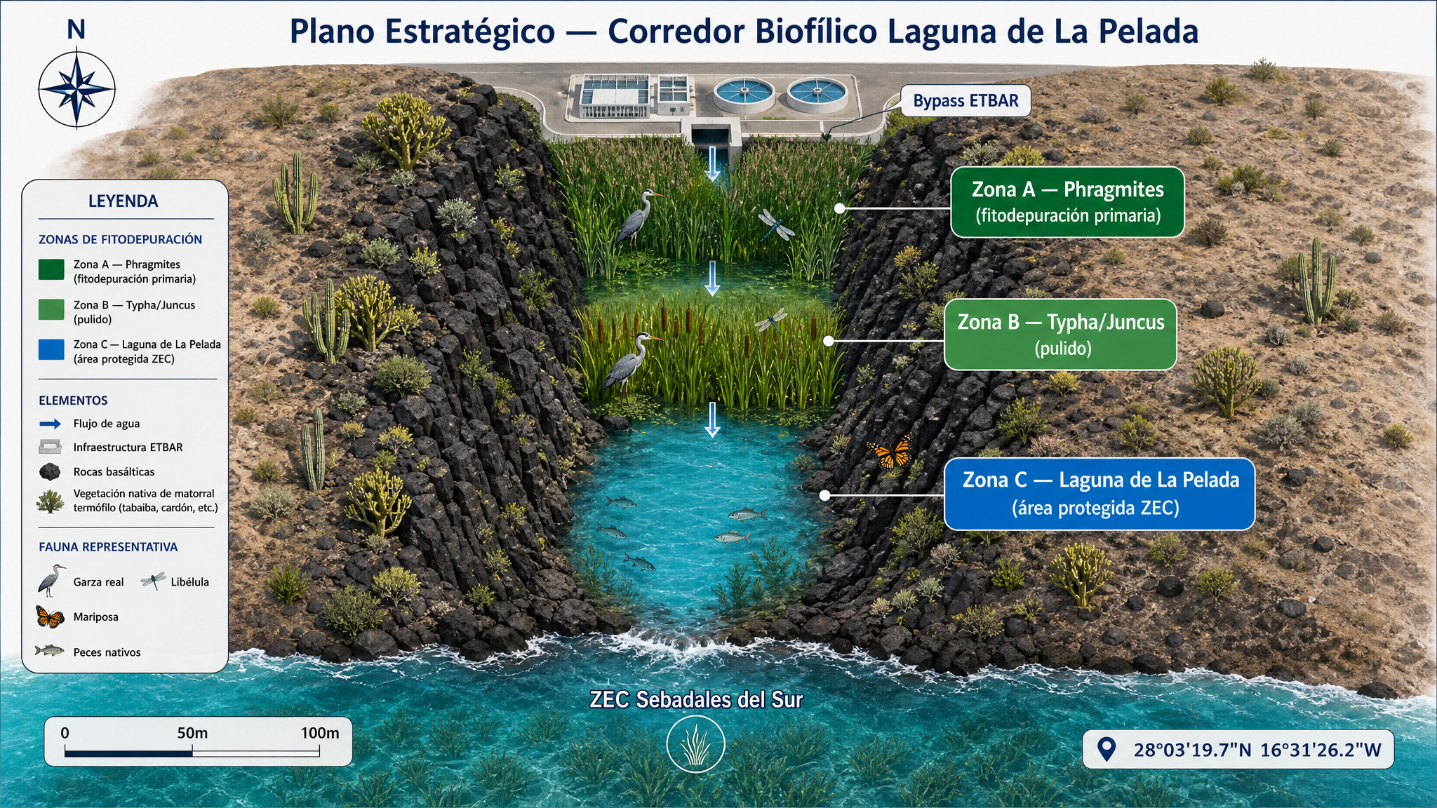 Plano estratégico — Corredor Biofílico Laguna de La Pelada