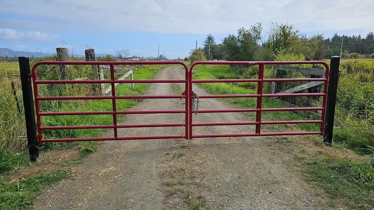 Pasture Restoration & Management