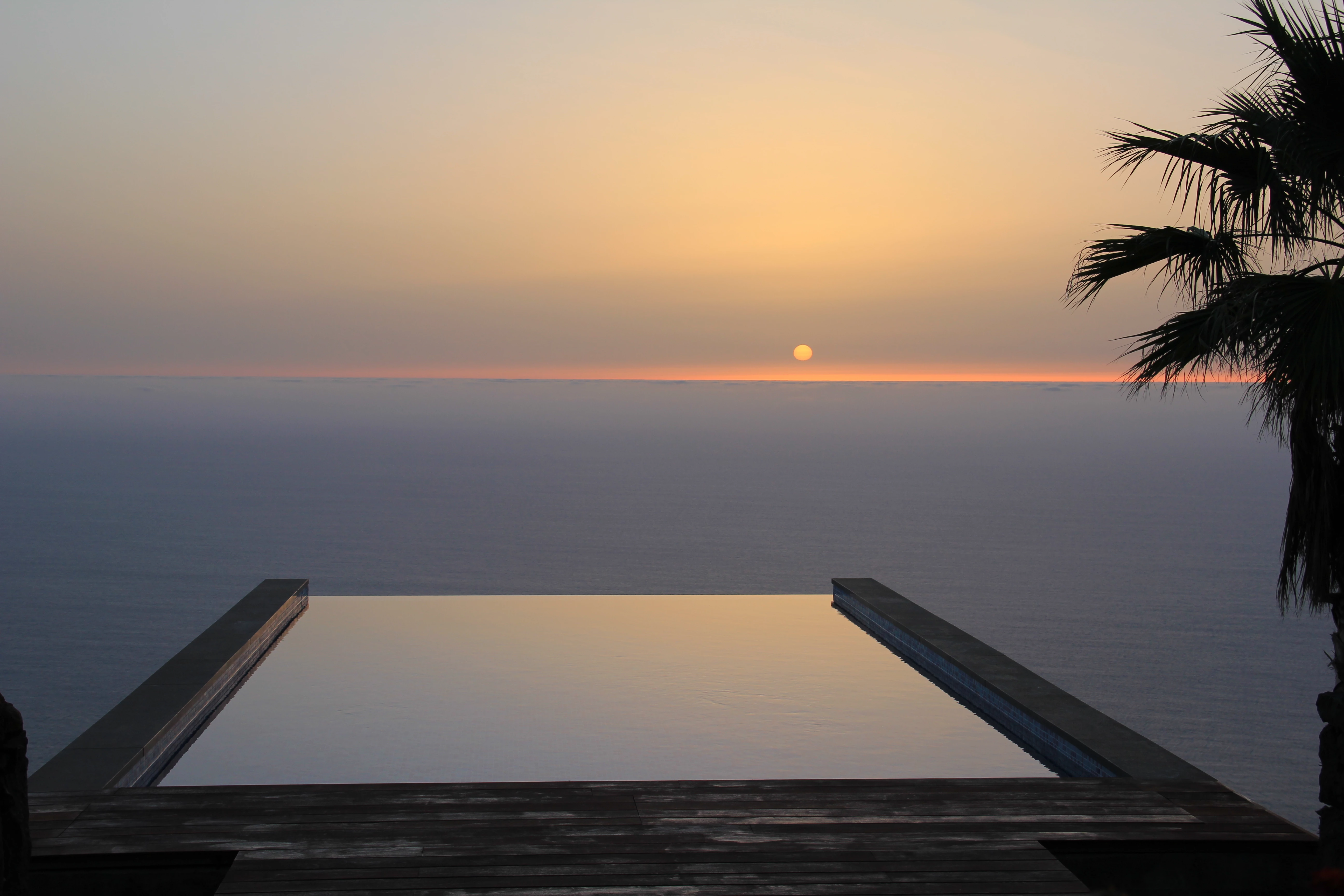 Ocean sunset with palm tree silhouette over calm waters