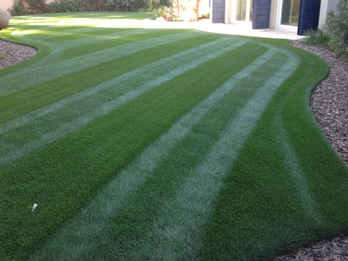 Lawn Care