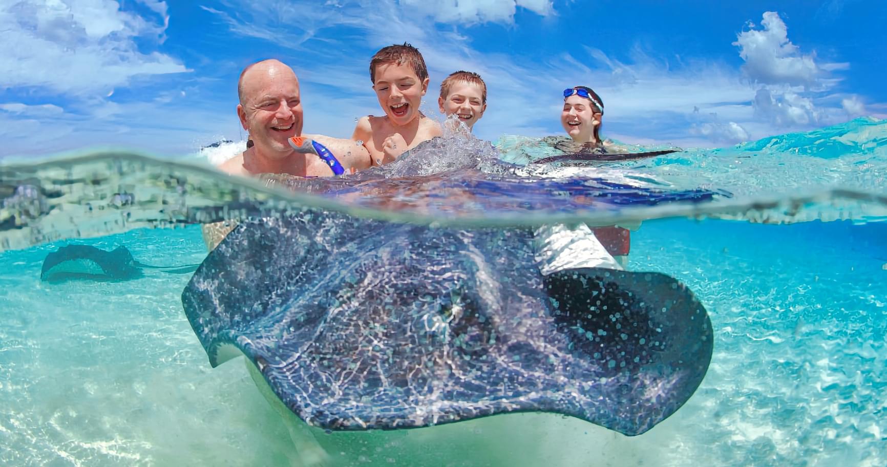 Stingray City Encounter