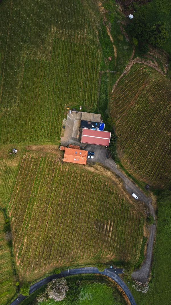 Agricultura