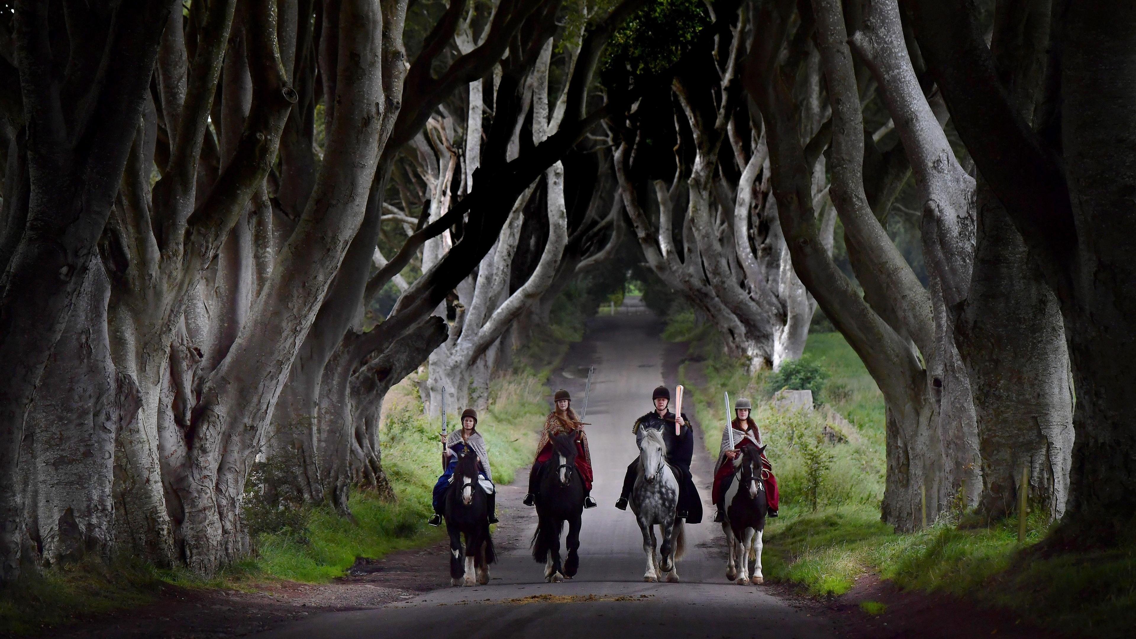Dark Hedges Complete Guide - Game of Thrones Location