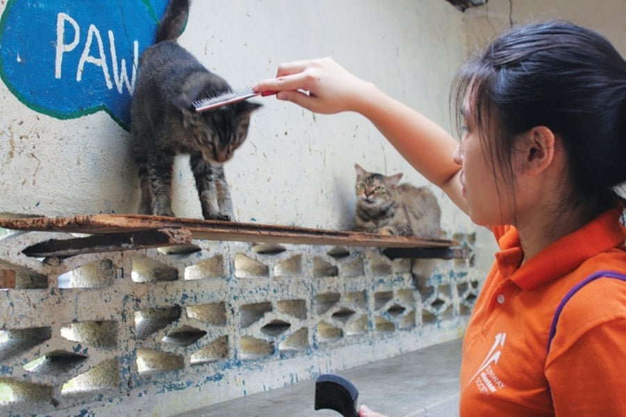 Volunteers and rescuers gathered in a Malaysian community, smiling
