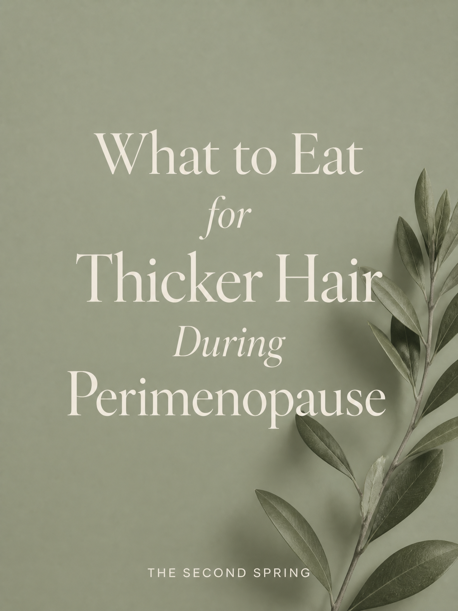 What to Eat for Thicker Hair During Perimenopause