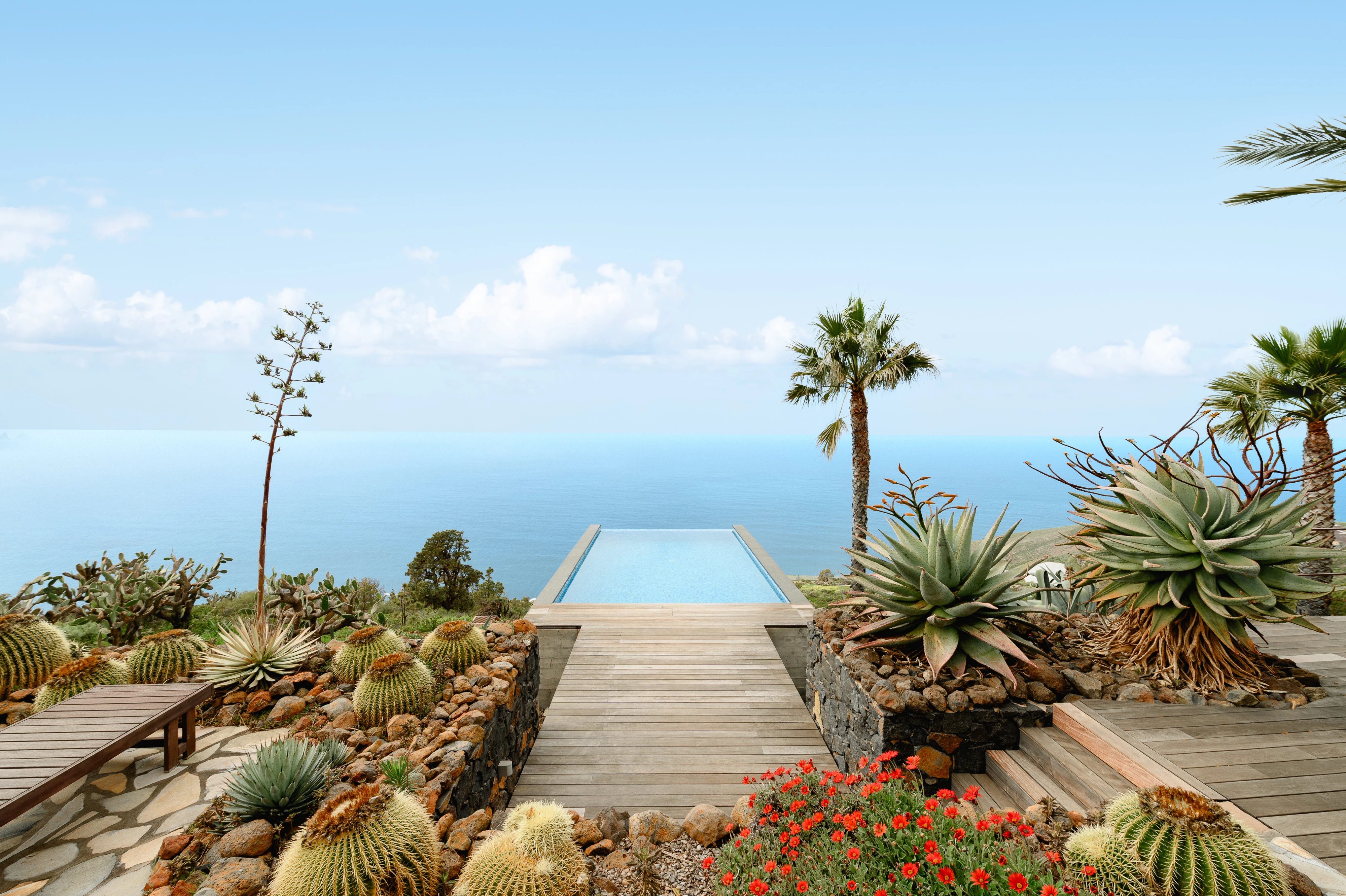 Infinity pool deck with cacti garden and ocean panorama