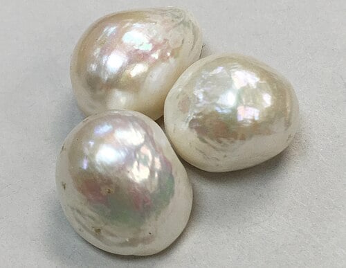 Lustrous white pearls in an oyster shell