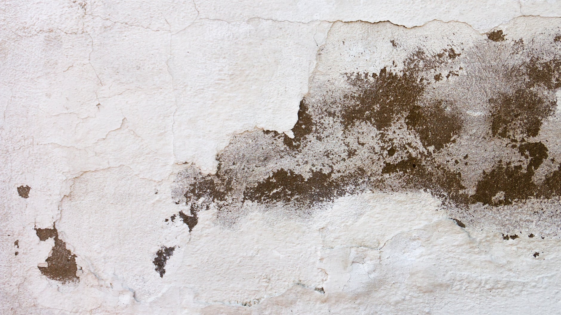 Damp wall requiring treatment