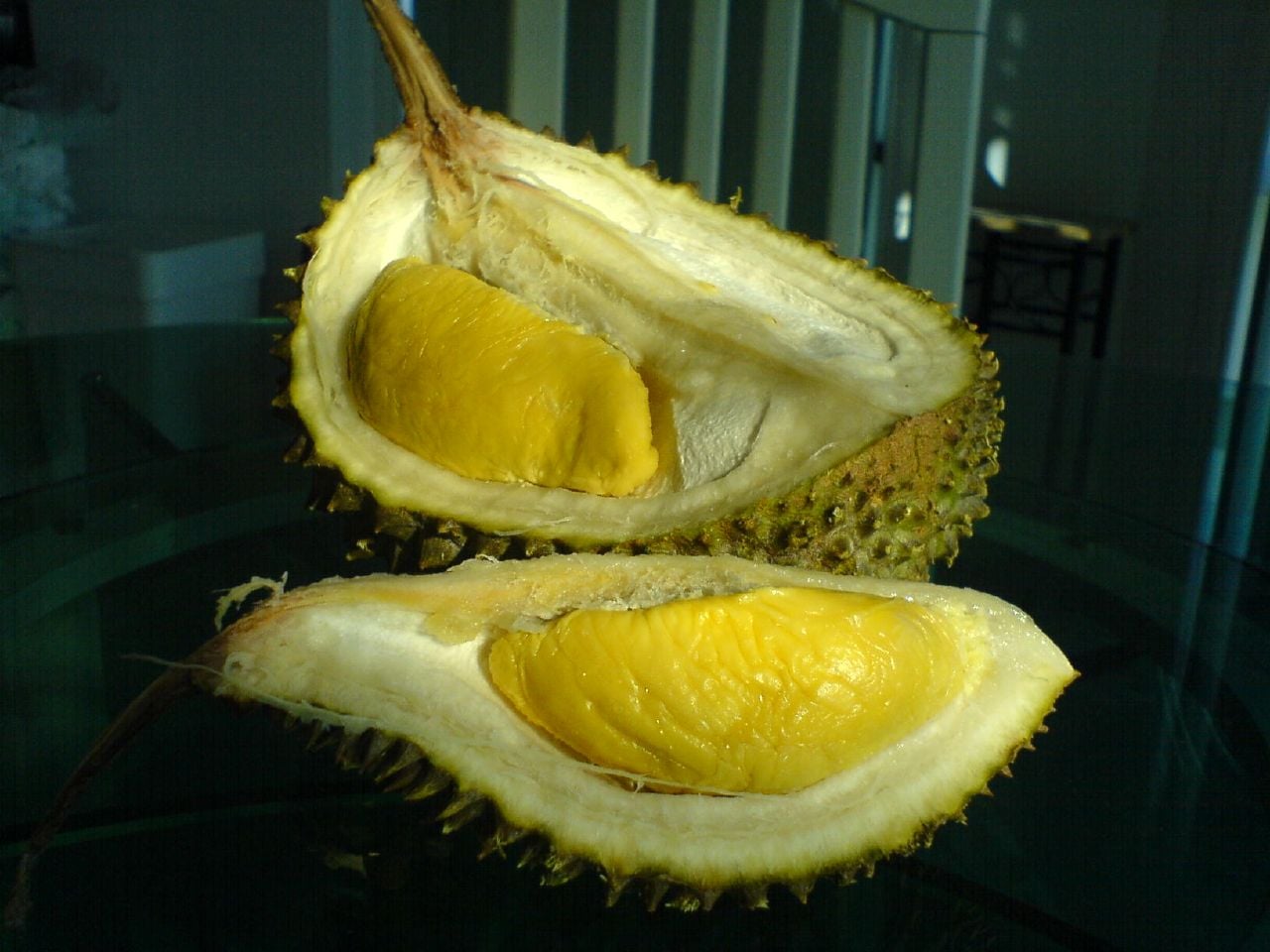Musang King (D197)