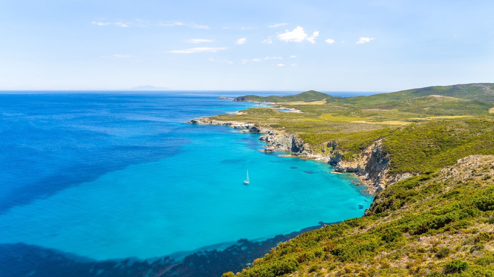 Miel du Cap