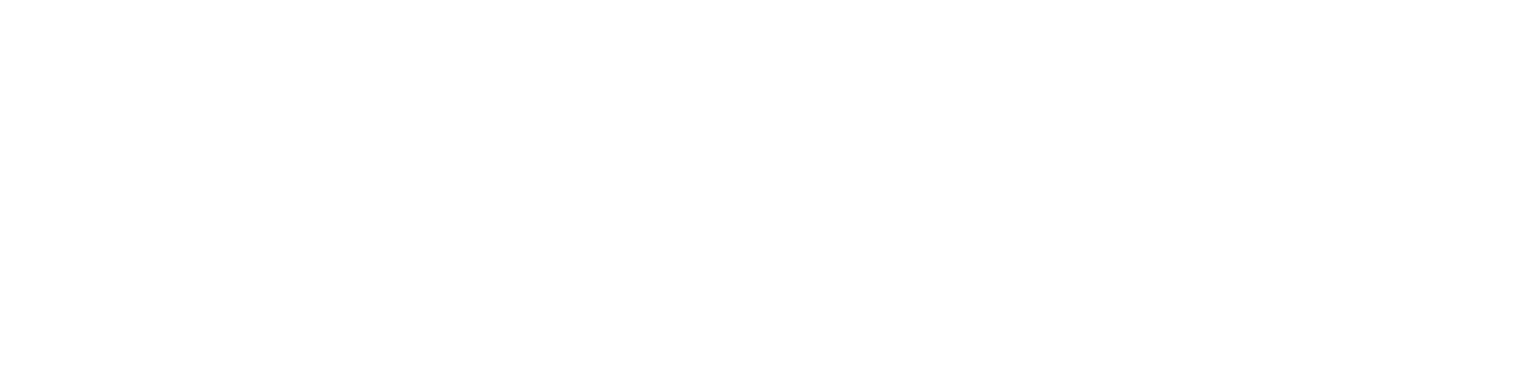 Boston Dynamics Logo