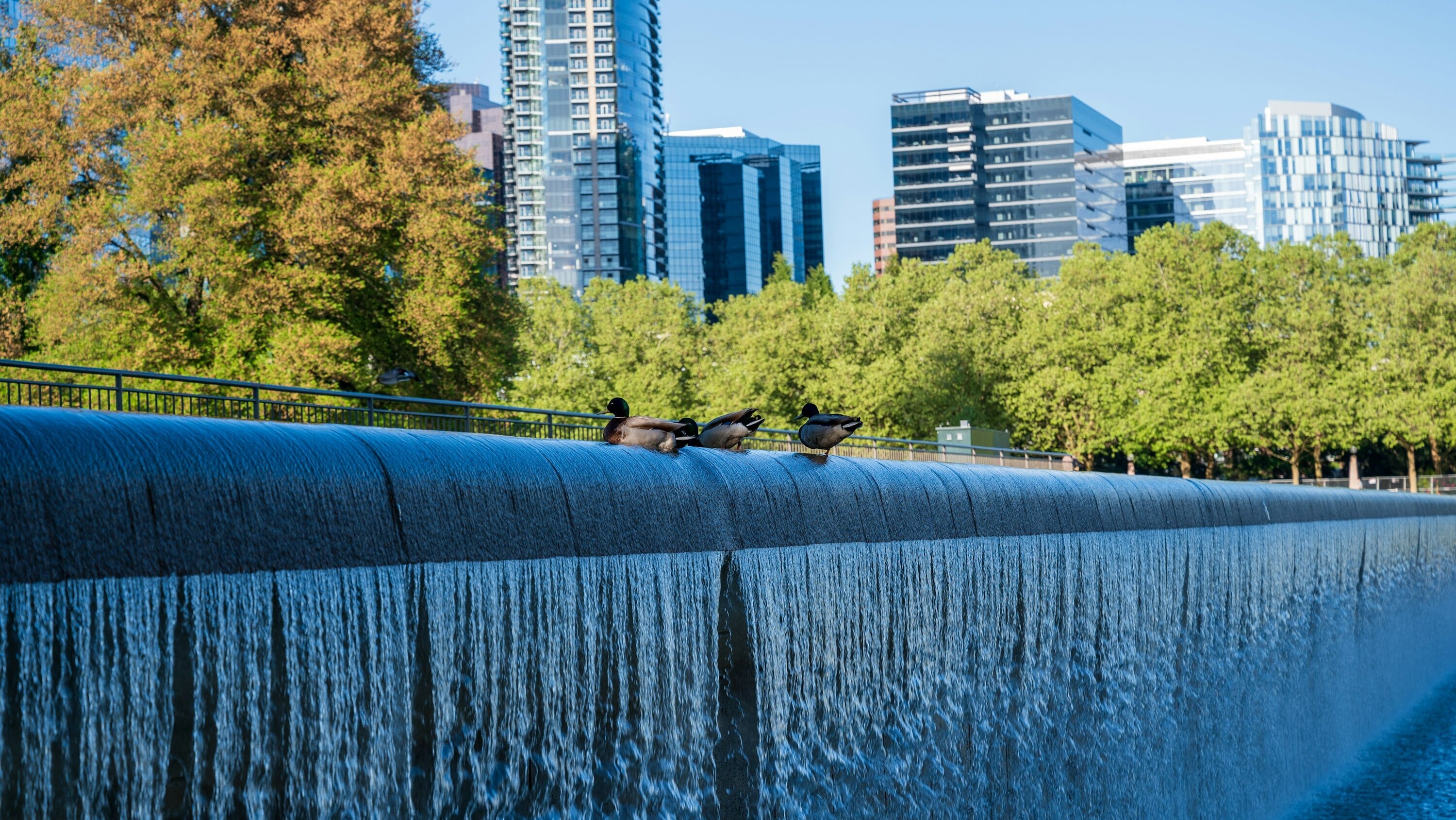 ServiceNow Bellevue Employee Home Buying Guide: Best Neighborhoods & Strategies for 2026