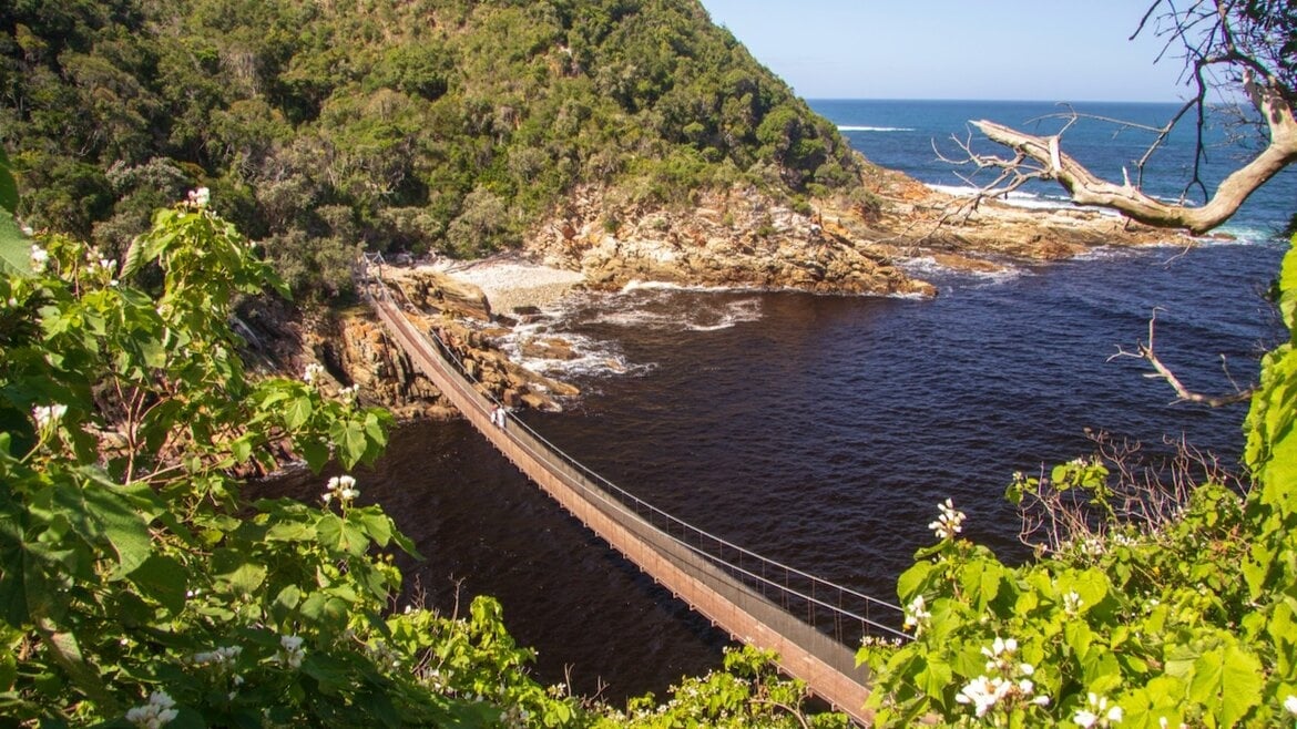 Tsitsikamma Adventure Day