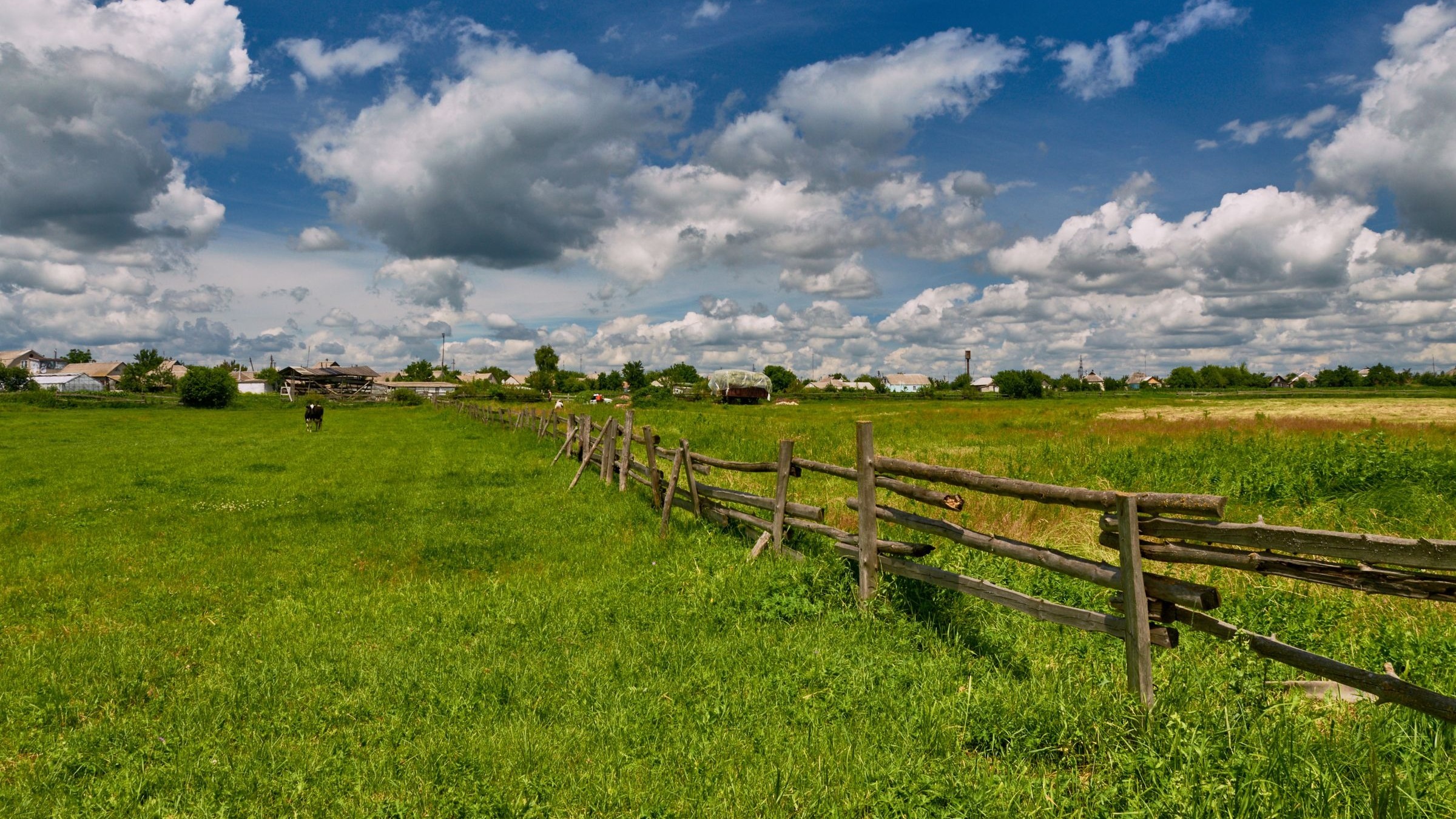 Green plot with fence