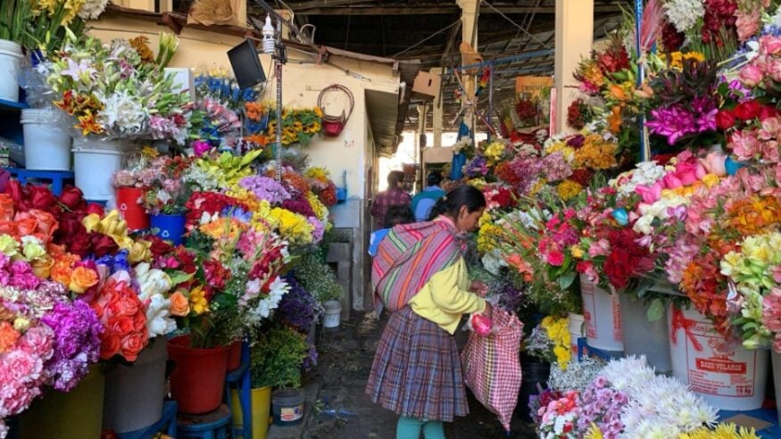 Central America Backpacking Guide: Mexico, Belize, Guatemala & Costa Rica