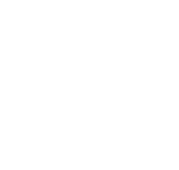 Logo Academia de Seguridad Privada