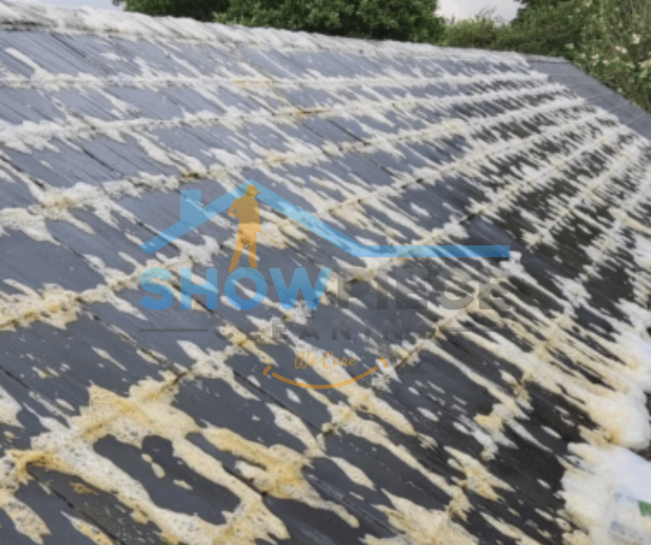 Roof covered with moss and lichen before cleaning